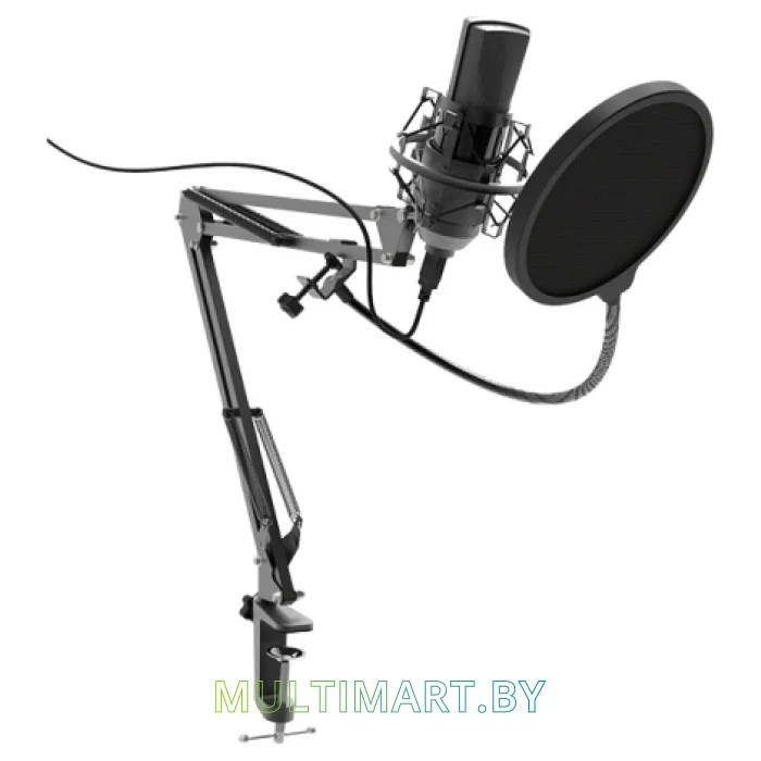 Микрофон Ritmix RDM-180